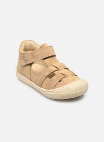 Bailarinas Bede beige