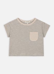 Tee-shirts manches courtes T-shirt manches courtes - Dodoma Y/D stripe gris