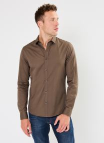 Camisas BARRY hombre marrón