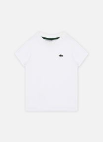 Tee-shirts manches courtes T-shirt - enfant Lacoste blanc