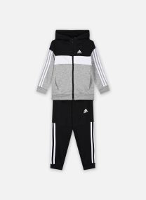 Sweats Ensemble - Lk 3S Tib Fl TS gris