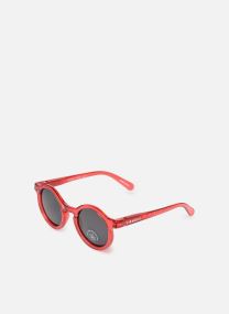 Casquettes Lunette de soleil - Darla Sunglasses LW16005 rouge