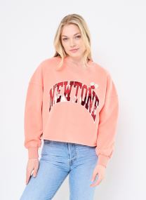 Sweatshirts Sweatshirt - PORTER TONE femme orange
