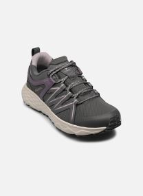 Chaussures de sport Chaussures de sport - PEAKFREAK ROAM WATERPROOF W femme gris